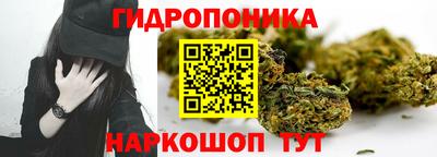 гашик Лениногорск