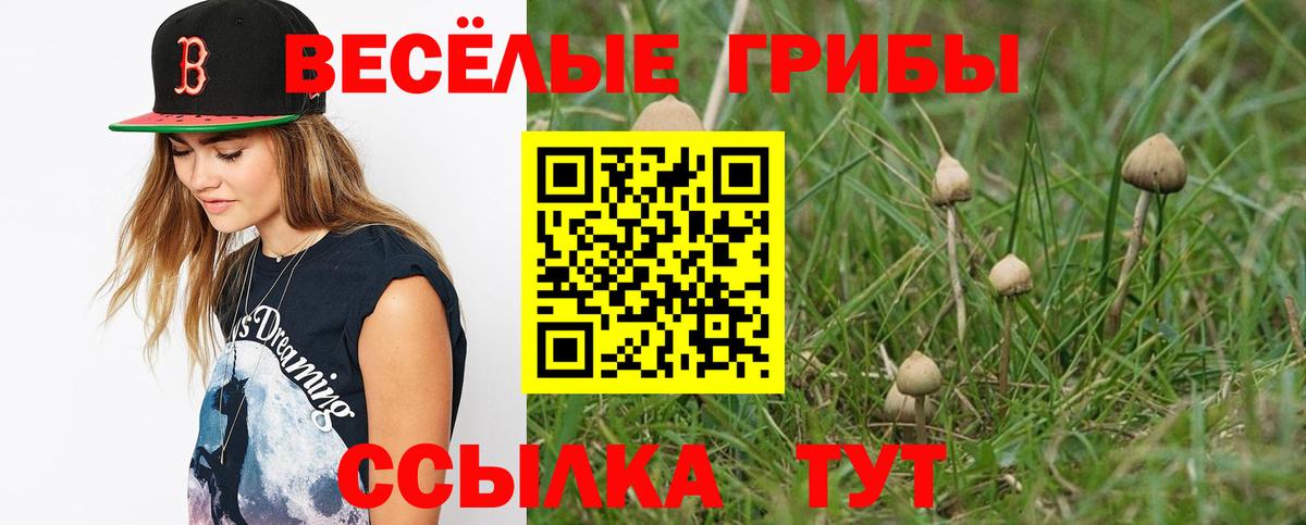 Галлюциногенные грибы GOLDEN TEACHER Зерноград