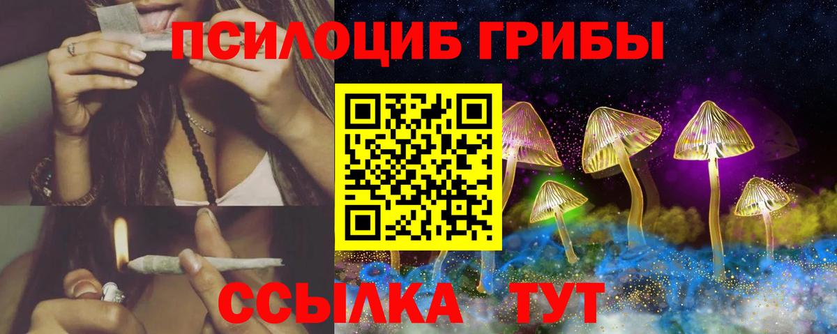 Псилоцибиновые грибы ЛСД  Псилоцибиновые грибы Cubensis  Зерноград  Вход с VPN 